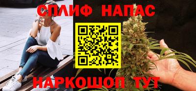 молекула духа Будённовск