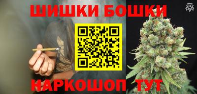 молекула духа Будённовск