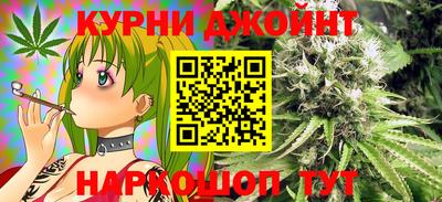 молекула духа Будённовск