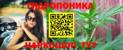 молекула духа Будённовск