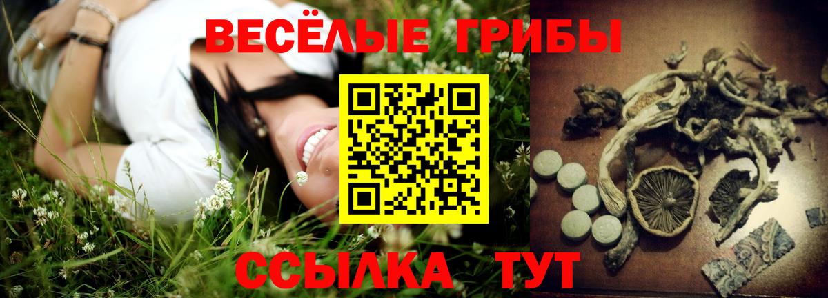 Галлюциногенные грибы Psilocybine cubensis Клинцы